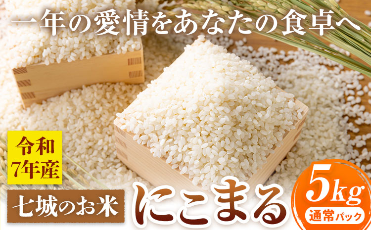 七城のお米 にこまる 5kg 通常パッケージ 白米 精米 令和7年産 堀田農場《30日以内に出荷予定(土日祝除く)》お米 熊本県 菊池市 熊本県産 九州産 送料無料---030-5001---