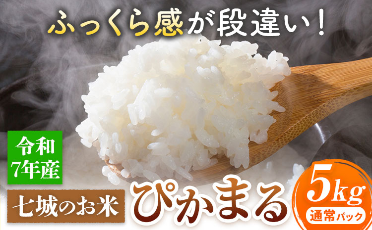 七城のお米 ぴかまる 5kg 通常パッケージ 白米 精米 令和7年産 堀田農場《30日以内に出荷予定(土日祝除く)》お米 熊本県 菊池市 熊本県産 九州産 送料無料---030-5003---
