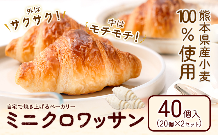 冷凍 ミニ クロワッサン 40個入り 《30日以内に出荷予定(土日祝除く)》送料無料 大容量 業務用 家庭用 熊本県産小麦100％使用 パン 冷凍パン ベーカリー 生地発酵 自宅で簡単焼きたて 朝食 スイーツ おやつ 保存食---kikuchi_lcl_109_40k---