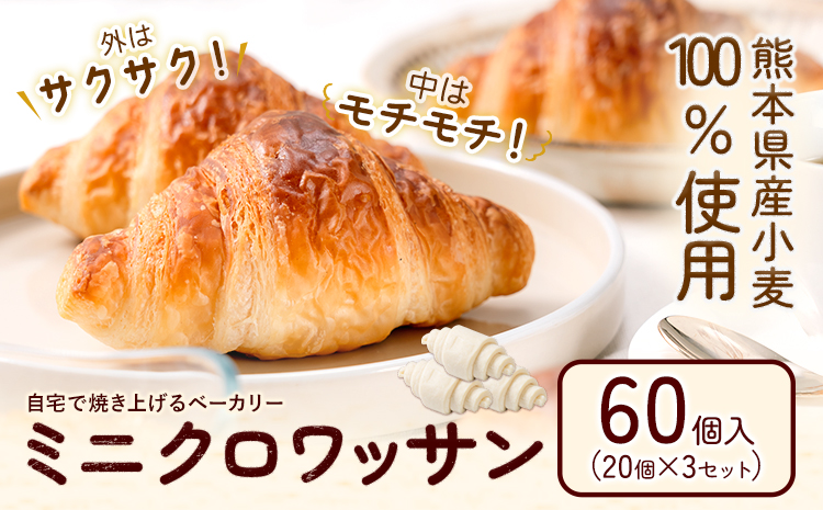 冷凍 ミニ クロワッサン 60個入り 《30日以内に出荷予定(土日祝除く)》送料無料 大容量 業務用 家庭用 熊本県産小麦100％使用 パン 冷凍パン ベーカリー 生地発酵 自宅で簡単焼きたて 朝食 スイーツ おやつ 保存食---kikuchi_lcl_110_60k---