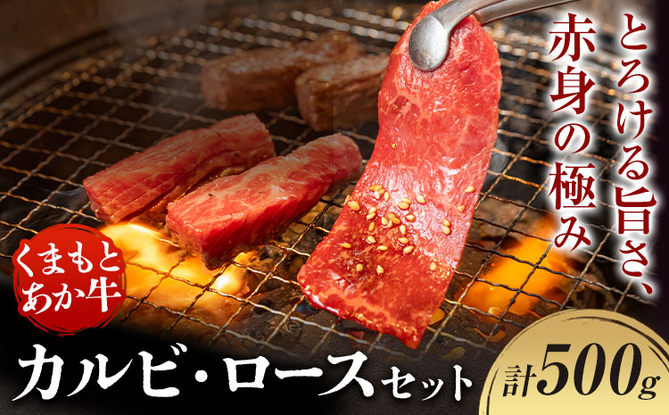 くまもとあか牛 カルビ ロース セット 約500g 有限会社草佳苑《30日以内に出荷予定(土日祝除く)》熊本県 菊池市 肉 牛肉 お肉 和牛 あか牛 焼肉 バーベキュー BBQ 熊本県産 冷凍 送料無料---311-0002---