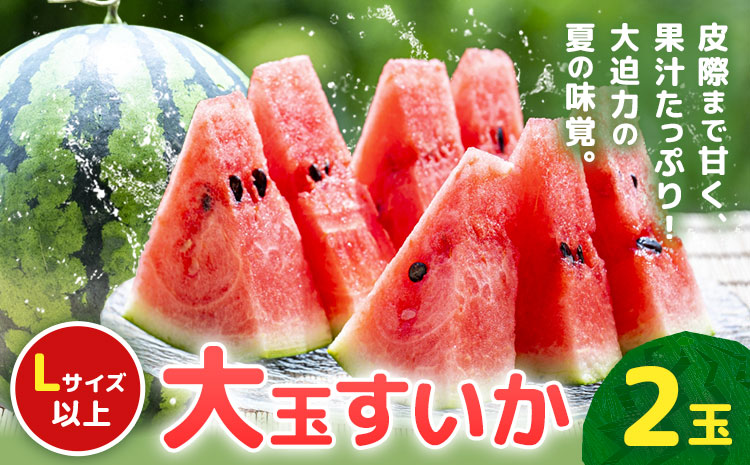 【先行予約】大玉すいか 2玉約10kg 日本フルーツ株式会社《4月下旬-7月下旬頃出荷》熊本県 菊池市 すいか スイカ 大玉 熊本県産---308-5012---
