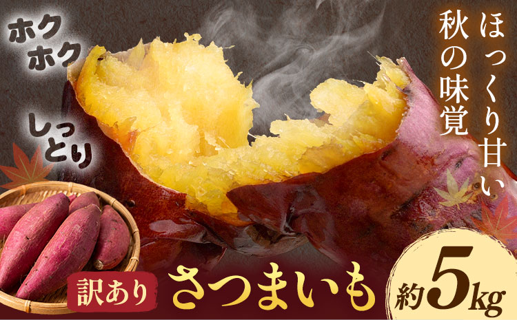 【先行予約】訳あり さつまいも 約5kg 日本フルーツ株式会社《2026年10月上旬-11月中旬頃出荷》熊本県 菊池市 さつまいも サツマイモ 訳あり 熊本県産---308-5005---