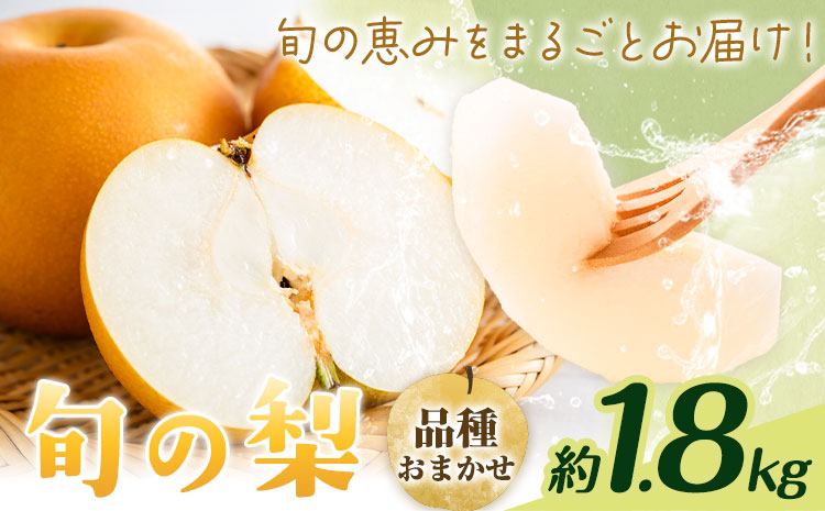 【先行予約】旬の梨 品種おまかせ 約1.8kg 日本フルーツ株式会社《2026年8月上旬-10月上旬頃出荷》熊本県 菊池市 梨 なし 豊水 秋月 新高 和梨 熊本県産---308-5001---