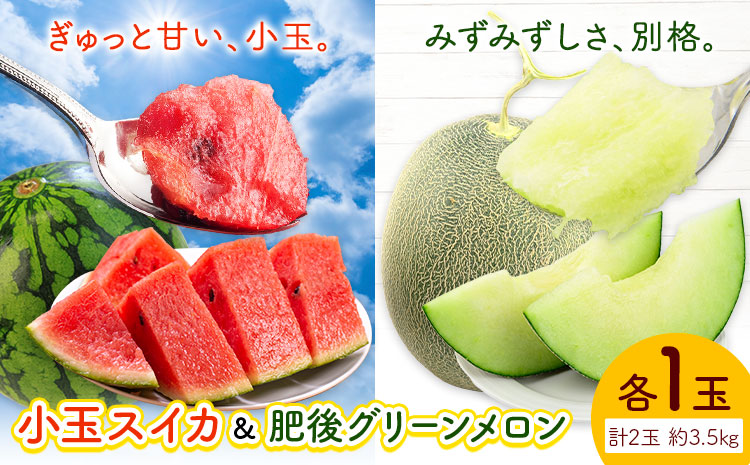 小玉スイカ&肥後グリーンメロン 食べ比べ 各1玉(計2玉 約3.5kg)  日本フルーツ株式会社 《5月中旬-7月末頃出荷》 熊本県 菊池市 西瓜 メロン 熊本県産---308-5008---