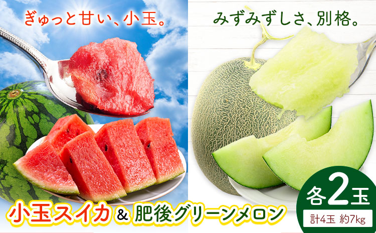 小玉スイカ&肥後グリーンメロン 食べ比べ 各2玉(計4玉 約7kg) 日本フルーツ株式会社 《5月中旬-7月末頃出荷》 熊本県 菊池市 西瓜 メロン 熊本県産---308-5009---