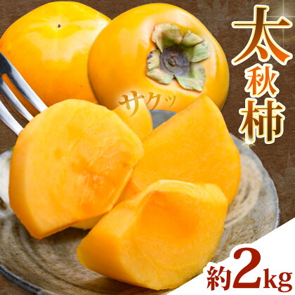 太秋柿 柿 約2kg 株式会社エフビーネット《10月上旬-11月上旬頃出荷》熊本県 菊池市 柿 かき たいしゅうがき 果物 フルーツ 秋の味覚 旬 デザート---034-5015---