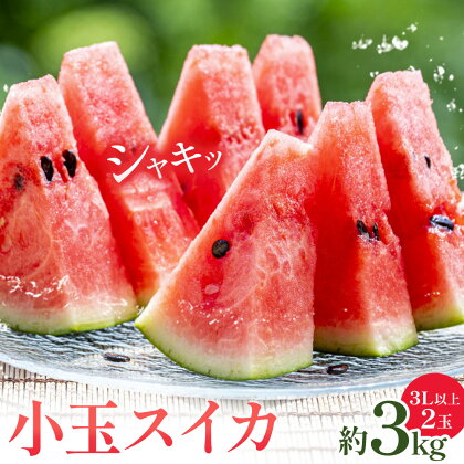 小玉スイカ 3L以上 2玉 計約3kg 株式会社エフビーネット《5月上旬-7月中旬頃出荷》熊本県 菊池市 小玉すいか すいか スイカ 西瓜 果物 フルーツ---034-5012---