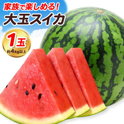 【先行予約】大玉すいか 1玉 約4kg 株式会社エフビーネット《5月上旬-7月中旬頃出荷》熊本県 菊池市 すいか スイカ 大玉 熊本県産 フルーツ---034-5011---