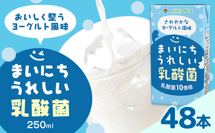 常温保存可能 まいにちうれしい 乳酸菌 ヨーグルト風味 250ml×48本 合同会社たべたせいか《30日以内に出荷予定(土日祝除く)》熊本県 菊池市 紙パック ヨーグルト飲料 乳酸菌 ドリンク 飲み物 飲料 常温保存 国産 熊本県産 ---0016-3075---