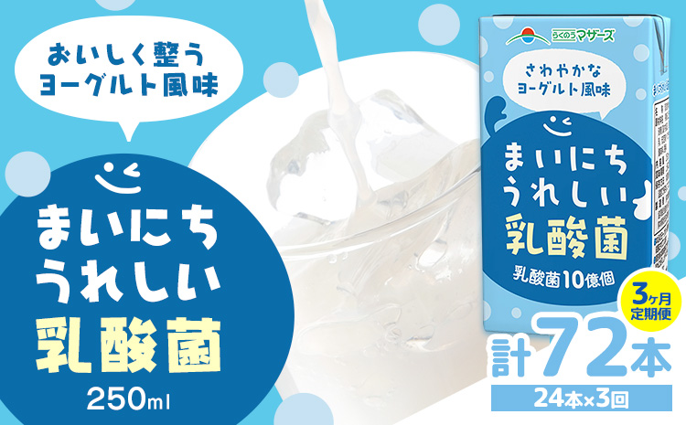 常温保存可能【1ヶ月毎3回定期便】まいにちうれしい 乳酸菌 ヨーグルト風味 250ml×24本 計72本 合同会社たべたせいか《お申し込みの翌月から出荷》熊本県 菊池市 紙パック ヨーグルト飲料 乳酸菌 ドリンク 飲み物 飲料 常温保存 国産 熊本県産 ---0016-3077---