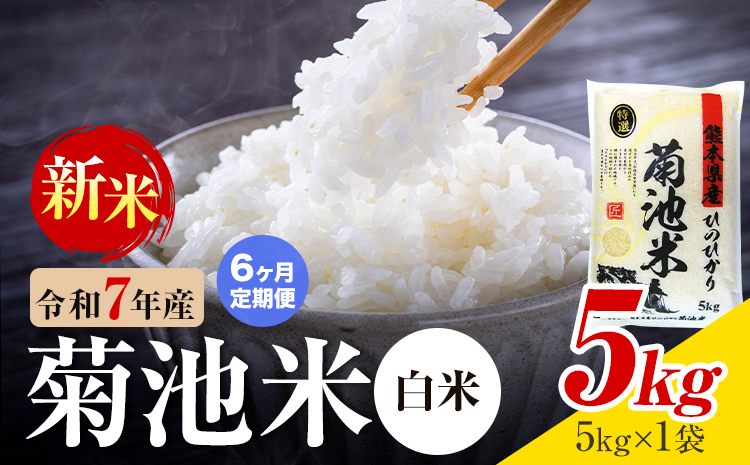 【6ヶ月定期便】熊本県産 菊池米 白米 5kg 1袋5kg 米 お米 令和7年産 九州産 熊本県産 送料無料《お申込み翌月に出荷予定》 白米 米---026-5029---