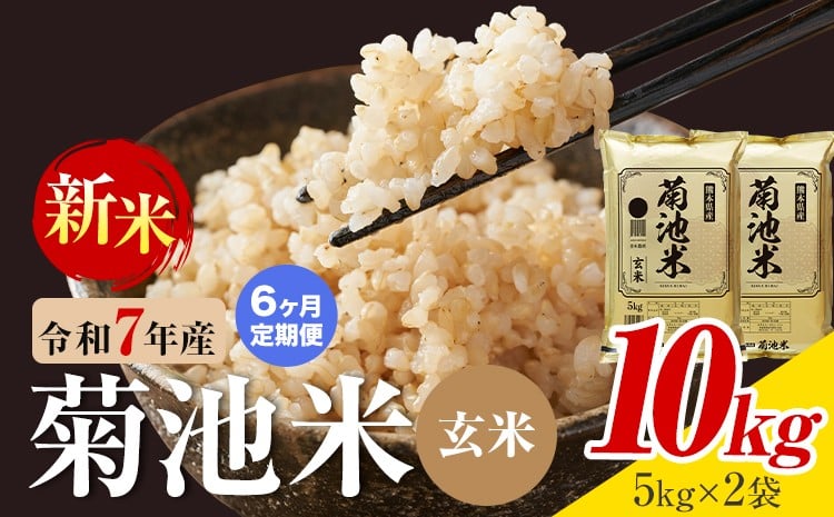 【6ヶ月定期便】熊本県産 菊池米 玄米 20kg 1袋5kg 米 お米 令和7年産 九州産 熊本県産 送料無料《お申込み翌月に出荷予定》玄米 米---026-5049---