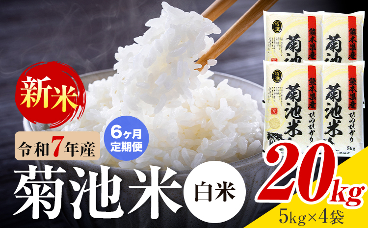 【6ヶ月定期便】熊本県産 菊池米 白米 20kg 1袋5kg 米 お米 令和7年産 九州産 熊本県産 送料無料《お申込み翌月に出荷予定》  白米 米---026-5037---
