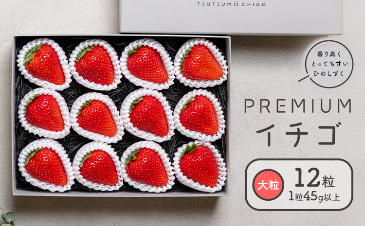 PREMIUMイチゴ 12玉 1玉45g以上 ひのしずく いちご イチゴ 苺《2026年3月発送予定》ヴァリアス株式会社 果物 くだもの フルーツ 希少 ギフト プレゼント 贈り物 国産 九州産 熊本県 菊池市 送料無料---028-0008---