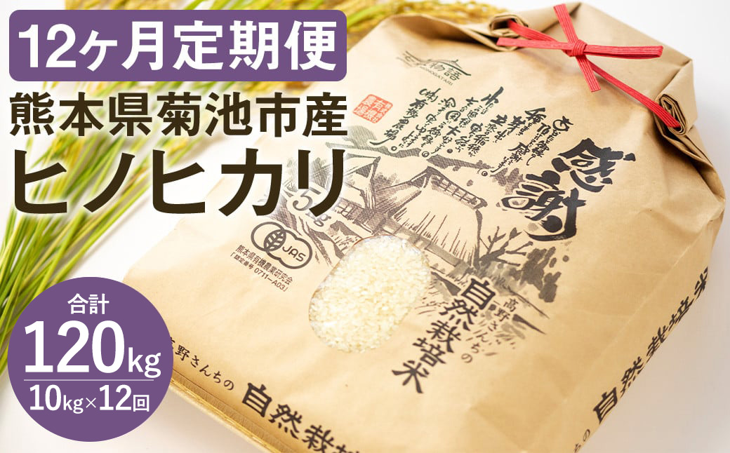 【12ヶ月定期便】【真空パッケージ】熊本県 菊池産 ヒノヒカリ 白米 10kg 令和7年産《お申込みの翌月から発送予定》七城物語 高野さんちの自然栽培米 精米 米 お米 自然栽培米 特A 国産 九州産 熊本県産 送料無料---045-3020---