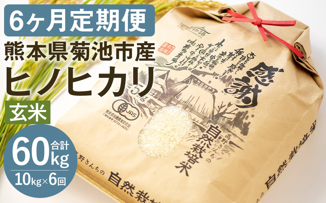 【6ヶ月定期便】【通常パッケージ】熊本県 菊池産 ヒノヒカリ 玄米 10kg 令和7年産《お申込みの翌月から発送予定》七城物語 高野さんちの自然栽培米 米 お米 自然栽培米 特A 国産 九州産 熊本県産 送料無料---045-3037---