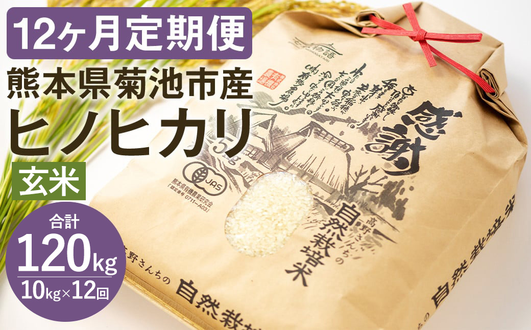 【12ヶ月定期便】【真空パッケージ】熊本県 菊池産 ヒノヒカリ 令和7年産 玄米 10kg《お申込みの翌月から発送予定》七城物語 高野さんちの自然栽培米 米 お米 自然栽培米 特A 国産 九州産 熊本県産 送料無料---045-3040---