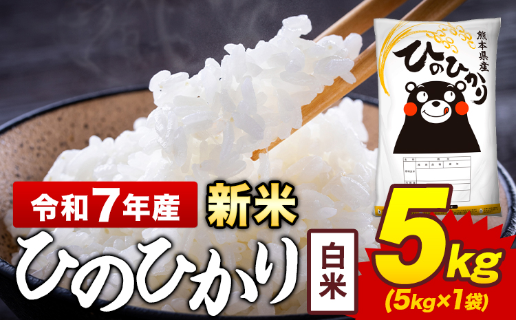 新米 令和7年産 白米 米 ひのひかり 5kg《7-14日以内に出荷予定(土日祝除く)》熊本県 菊池市 国産 熊本県産 白米 精米 送料無料 ヒノヒカリ こめ お米 ---300-4373---