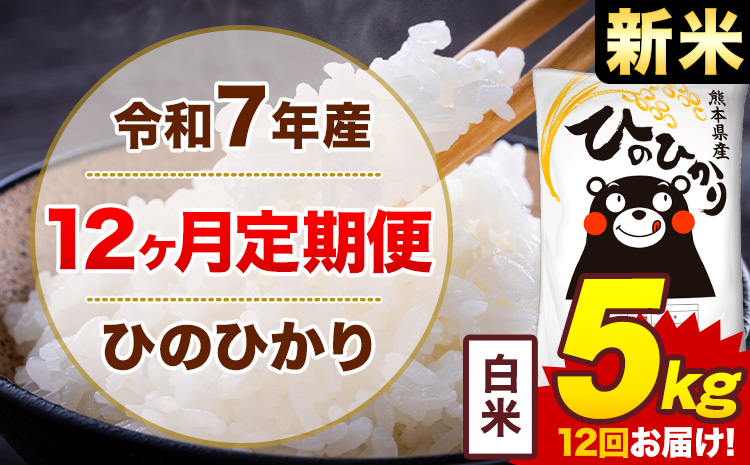 【12ヶ月定期便】新米 令和7年産 白米 5kg 米 ひのひかり《お申込み翌月から出荷》熊本県 菊池市 国産 熊本県産 白米 精米 無洗米 送料無料 ヒノヒカリ こめ お米---300-4246---