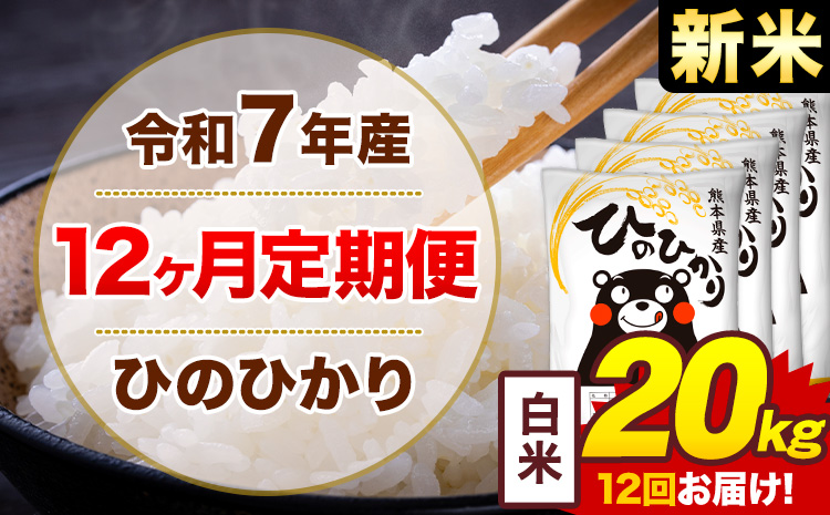 【12ヶ月定期便】新米 令和7年産 白米 20kg 米 ひのひかり《お申込み翌月から出荷》熊本県 菊池市 国産 熊本県産 白米 精米 無洗米 送料無料 ヒノヒカリ こめ お米---300-4255---