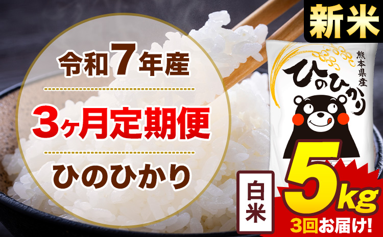 【3ヶ月定期便】新米 令和7年産 白米 5kg 米 ひのひかり《お申込み翌月から出荷》熊本県 菊池市 国産 熊本県産 白米 精米 無洗米 送料無料 ヒノヒカリ こめ お米---300-4244---