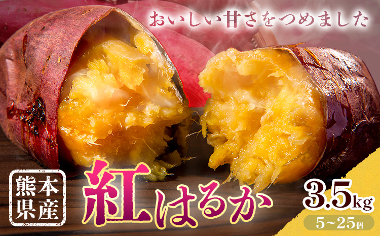 さつまいも 熊本県産 紅はるか 3.5kg 日本フルーツ株式会社《11月中旬-6月上旬頃出荷》熊本県 菊池市 さつまいも 薩摩芋 からいも 紅はるか デザート 料理 おやつ 蜜芋 野菜 芋 いも---308-0001---