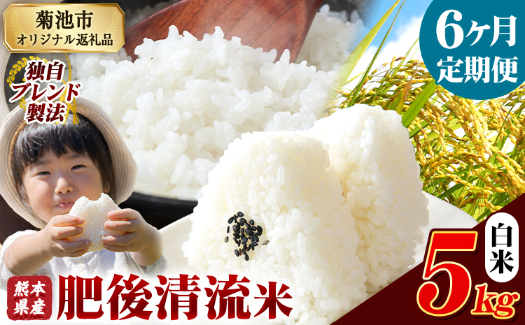 【6ヶ月定期便】熊本県産 肥後清流米 白米 5kg ブレンド米 熊本県産 ふるさと納税 精米 米 こめ ふるさとのうぜい コメ お米 おこめ《お申込み翌月から出荷》---300-4349---