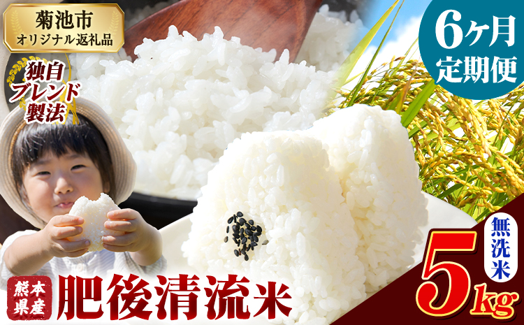 【6ヶ月定期便】 熊本県産 肥後清流米 無洗米 5kg ブレンド米 熊本県産 ふるさと納税 精米 米 こめ ふるさとのうぜい コメ お米 おこめ《お申込み翌月から出荷》---300-4350---