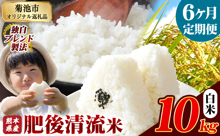 【6ヶ月定期便】熊本県産 肥後清流米 白米 10kg ブレンド米 熊本県産 ふるさと納税 精米 米 こめ ふるさとのうぜい コメ お米 おこめ《お申込み翌月から出荷》---300-4351---