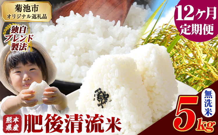 【12ヶ月定期便】 熊本県産 肥後清流米 無洗米 5kg ブレンド米 熊本県産 ふるさと納税 精米 米 こめ ふるさとのうぜい コメ お米 おこめ《お申込み翌月から出荷》---300-4366---