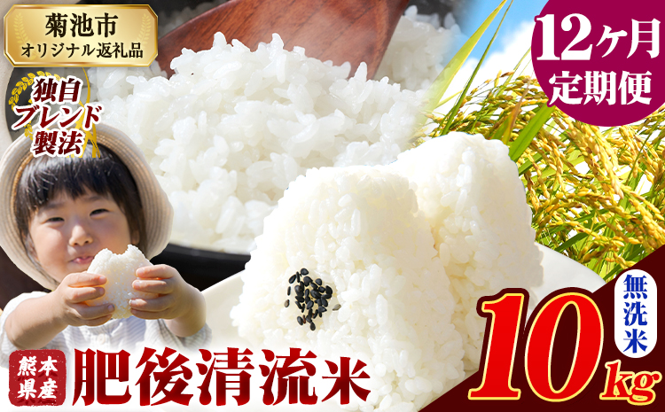 【12ヶ月定期便】 熊本県産 肥後清流米 無洗米 10kg ブレンド米 熊本県産 ふるさと納税 精米 米 こめ ふるさとのうぜい コメ お米 おこめ《お申込み翌月から出荷》---300-4368---