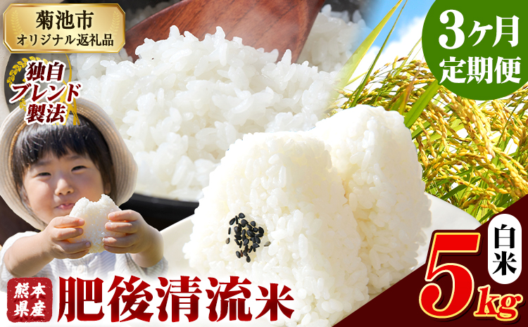【3ヶ月定期便】熊本県産 肥後清流米 白米 5kg ブレンド米 熊本県産 ふるさと納税 精米 米 こめ ふるさとのうぜい コメ お米 おこめ《お申込み翌月から出荷》---300-4341---