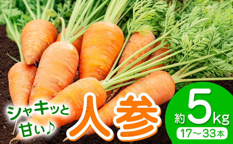 【先行予約】人参 約5kg (17-33本) 日本フルーツ株式会社《2026年4月上旬-6月上旬頃出荷》熊本県 菊池市 にんじん ニンジン 野菜 熊本県産---308-0011---