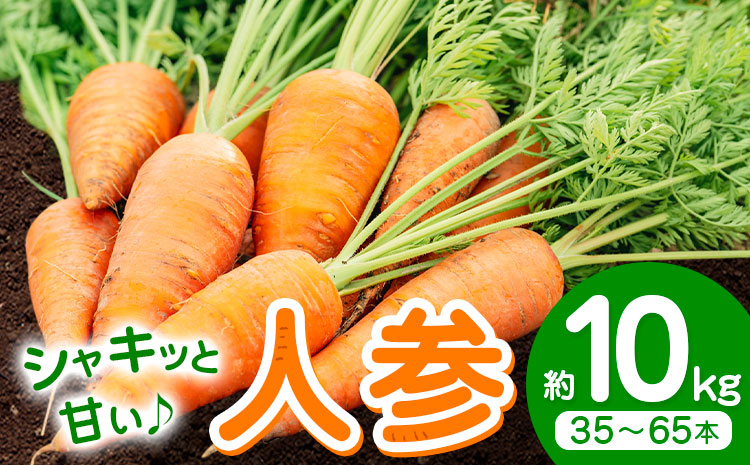 【先行予約】人参 約10kg (35-65本) 日本フルーツ株式会社《2026年4月上旬-6月上旬頃出荷》熊本県 菊池市 にんじん ニンジン 野菜 熊本県産---308-0012---