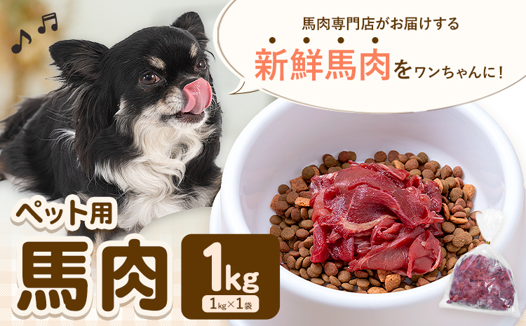ペット用馬肉 1kg 五右衛門フーズ《30日以内に出荷予定(土日祝除く)》 ペット用 犬用 肉 馬肉 熊本県 菊池市---187-2340---