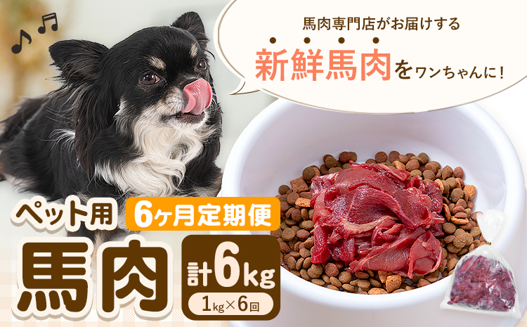 【6ヶ月定期便】ペット用馬肉 1kg × 6回 計6kg 五右衛門フーズ《申込月の翌月から出荷開始》 ペット用 犬用 肉 馬肉 熊本県 菊池市---187-2342---