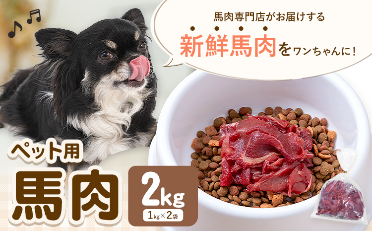 ペット用馬肉 2kg 五右衛門フーズ《30日以内に出荷予定(土日祝除く)》 ペット用 犬用 肉 馬肉 熊本県 菊池市---187-2343---