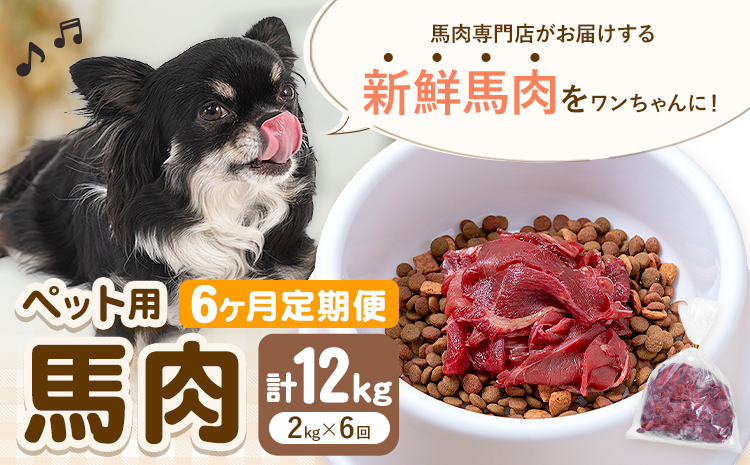 【6ヶ月定期便】ペット用馬肉 2kg × 6回 計12kg 五右衛門フーズ《申込月の翌月から出荷開始》 ペット用 犬用 肉 馬肉 熊本県 菊池市---187-2345---