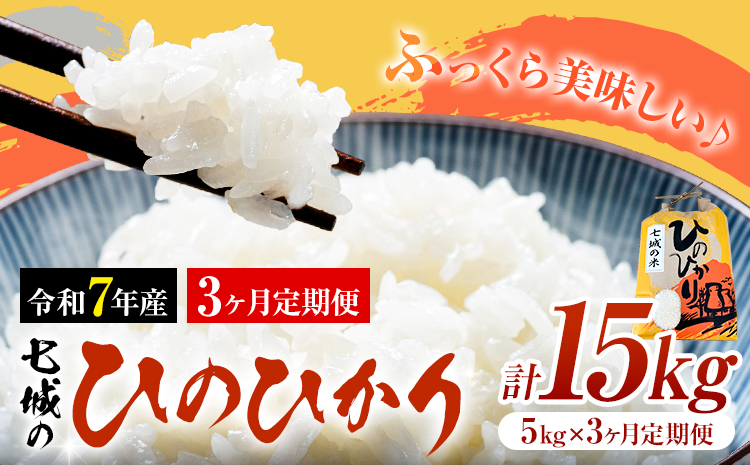 米 令和7年産 七城の ひのひかり 5kg 3ヶ月定期便 計15kg 有限会社草佳苑《90日以内に出荷予定(土日祝除く)》熊本県 菊池市 こめ 米 ひのひかり ブランド米 お米---311-0011---
