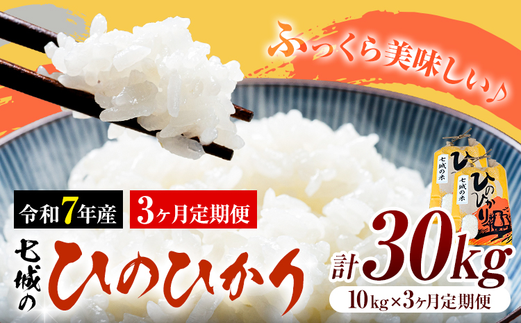 米 令和7年産 七城の ひのひかり 10kg 3ヶ月定期便 計30kg 有限会社草佳苑《90日以内に出荷予定(土日祝除く)》熊本県 菊池市 こめ 米 ひのひかり ブランド米 お米---311-0012---