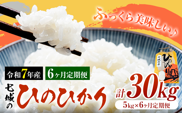 米 令和7年産 七城の ひのひかり 5kg 6ヶ月定期便 計30kg 有限会社草佳苑《90日以内に出荷予定(土日祝除く)》熊本県 菊池市 こめ 米 ひのひかり ブランド米 お米---311-0013---