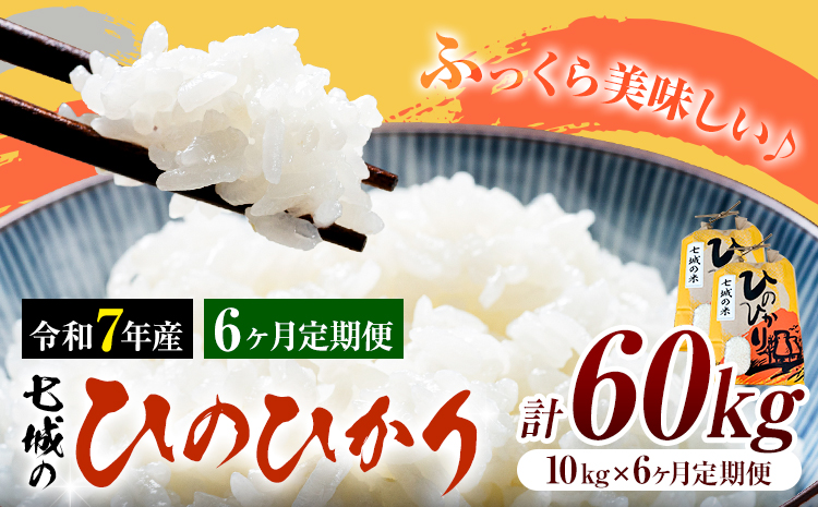 米 令和7年産 七城の ひのひかり 10kg 6ヶ月定期便 計60kg 有限会社草佳苑《90日以内に出荷予定(土日祝除く)》熊本県 菊池市 こめ 米 ひのひかり ブランド米 お米---311-0014---