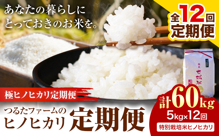 【12回定期便】つるたファームのヒノヒカリ定期便 極ヒノヒカリ定期便 特別栽培米 ヒノヒカリ 5kg 株式会社七城の恵み《申込月の翌月から出荷開始》熊本県 菊池市 米 ひのひかり 定期便 つるたファーム---126-2201---