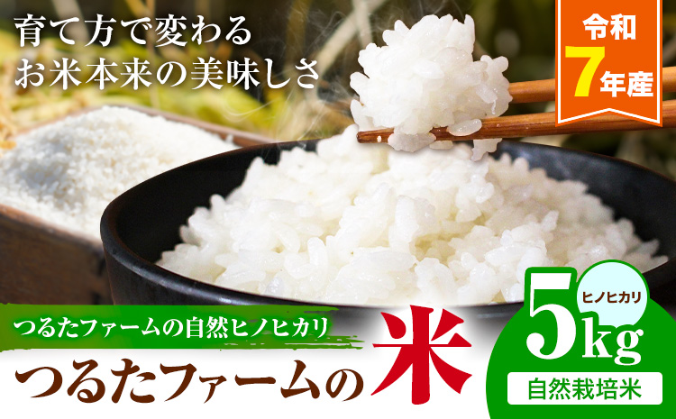 令和7年産 つるたファームの米 自然ヒノヒカリ 自然栽培米 ヒノヒカリ 5kg 株式会社七城の恵み《11月頃から出荷開始》熊本県 菊池市 米 ひのひかり つるたファーム---126-2522---