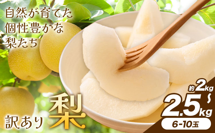 【先行予約】梨 訳あり梨 約2kg-2.5kg(6-10玉) 《2026年8月下旬-10月下旬頃出荷》 株式会社Foody’s なし 和梨 フルーツ 果物 ご家庭用 不揃い キズあり 菊池市産 熊本県産 九州産---177-2380---