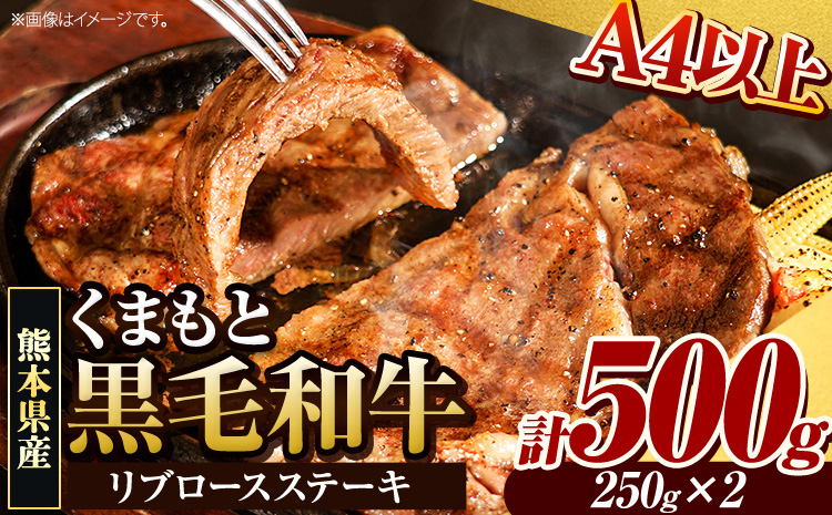 くまもと黒毛和牛 リブロースステーキ 500g (250g×2枚) 牛肉 冷凍 《30日以内に出荷予定(土日祝除く)》くまもと黒毛和牛 黒毛和牛 冷凍庫 個別 取分け 小分け 個包装 ステーキ肉 にも リブロースステーキ---300-5016---
