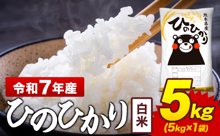令和7年産 白米 米 ひのひかり 5kg《7-14日以内に出荷予定(土日祝除く)》熊本県 菊池市 国産 熊本県産 白米 精米 送料無料 ヒノヒカリ こめ お米 ---300-4373---