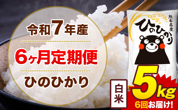 【6ヶ月定期便】令和7年産 白米 5kg 米 ひのひかり《お申込み翌月から出荷》熊本県 菊池市 国産 熊本県産 白米 精米 無洗米 送料無料 ヒノヒカリ こめ お米---300-4245---