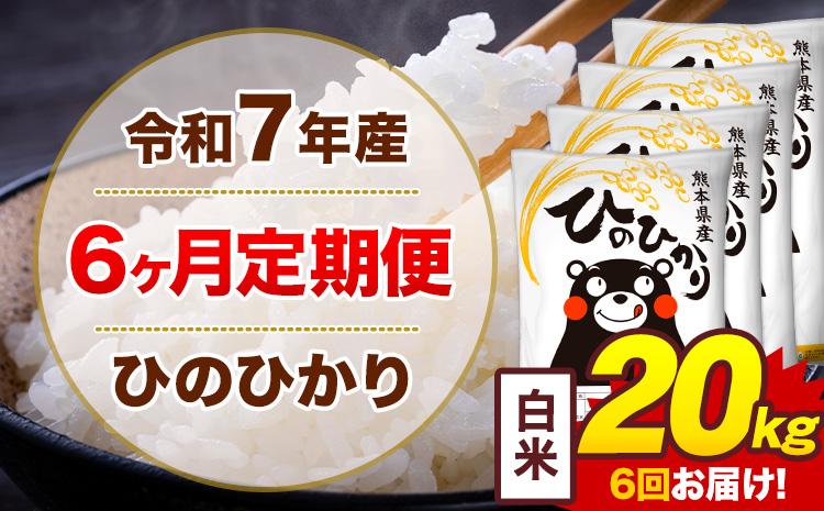 【6ヶ月定期便】令和7年産 白米 20kg 米 ひのひかり《お申込み翌月から出荷》熊本県 菊池市 国産 熊本県産 白米 精米 無洗米 送料無料 ヒノヒカリ こめ お米---300-4254---